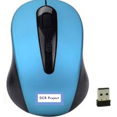 Souris 